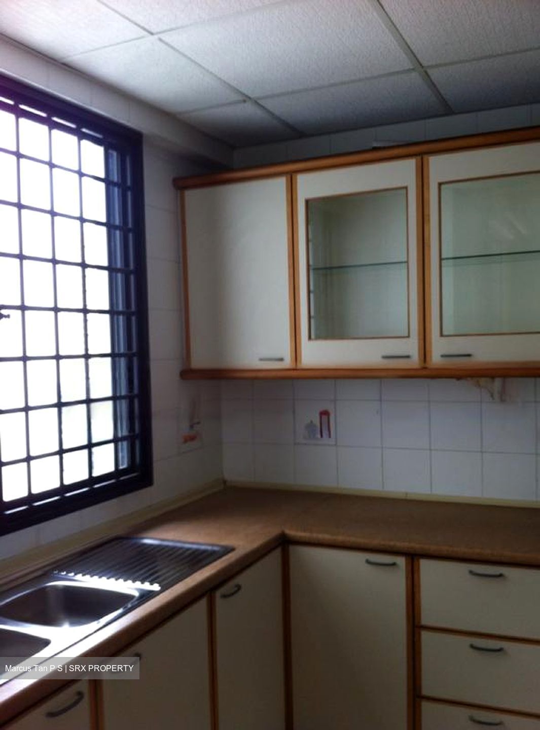Central Green Condominium (D3), Condominium #474407381